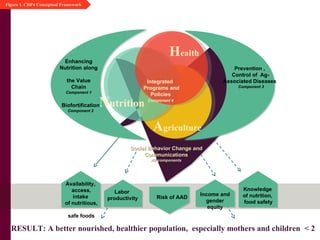 International agricultural research and agricultural associated diseases