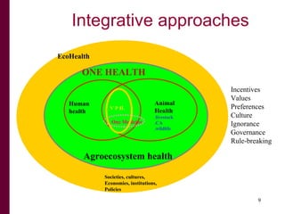 International agricultural research and agricultural associated diseases