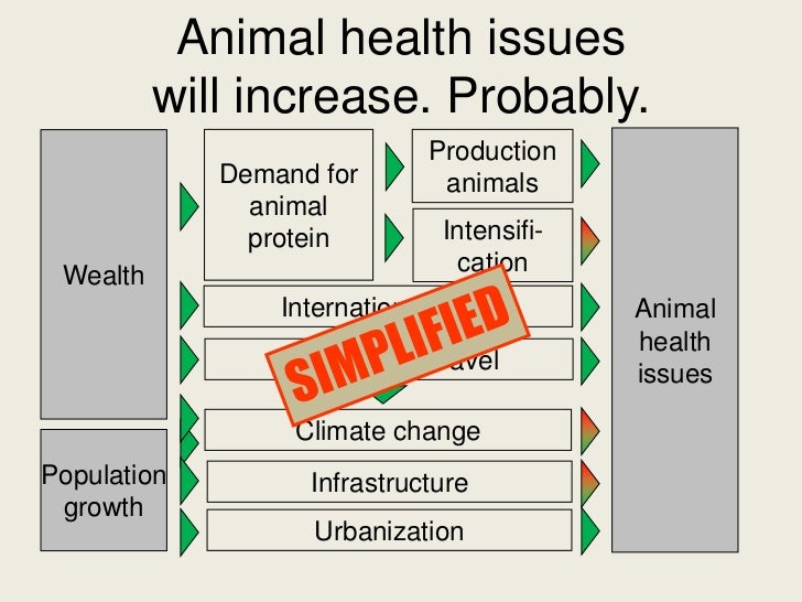 Healthy Animals as an Essential Concept in Sustainable Food Production