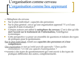 L’organisation comme cerveau L’organisation comme lieu apprenant ->  Métaphore du cerveau Sur le plan individuel : capacités des personnes Sur le plan général : est-ce qu’une organisation apprend ? Y a-t-il une capacité d’auto évaluation ? Certains auteurs ont utilisé la  métaphore du cerveau . C’est à dire qu’elle  met l’accent sur le traitement de l’information,  l’intelligence économique.  Cette perspective va poser un ensemble de questions et induire des types de pratiques pour le gestionnaire.  - Sur le plan individuel , relatif aux  capacités des personnes et à leur compétences .  - Une organisation  en tant qu’entité peut-elle apprendre ? Dans quelles circonstances ? A t’elle une capacité d’autorégulation ? =>soumis à des types de questionnement qui vont ouvrir à des types de pratiques différentes des autres, complémentarité . 