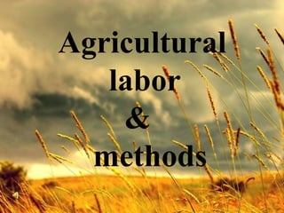 Agricultural
   labor
    &
  methods
 