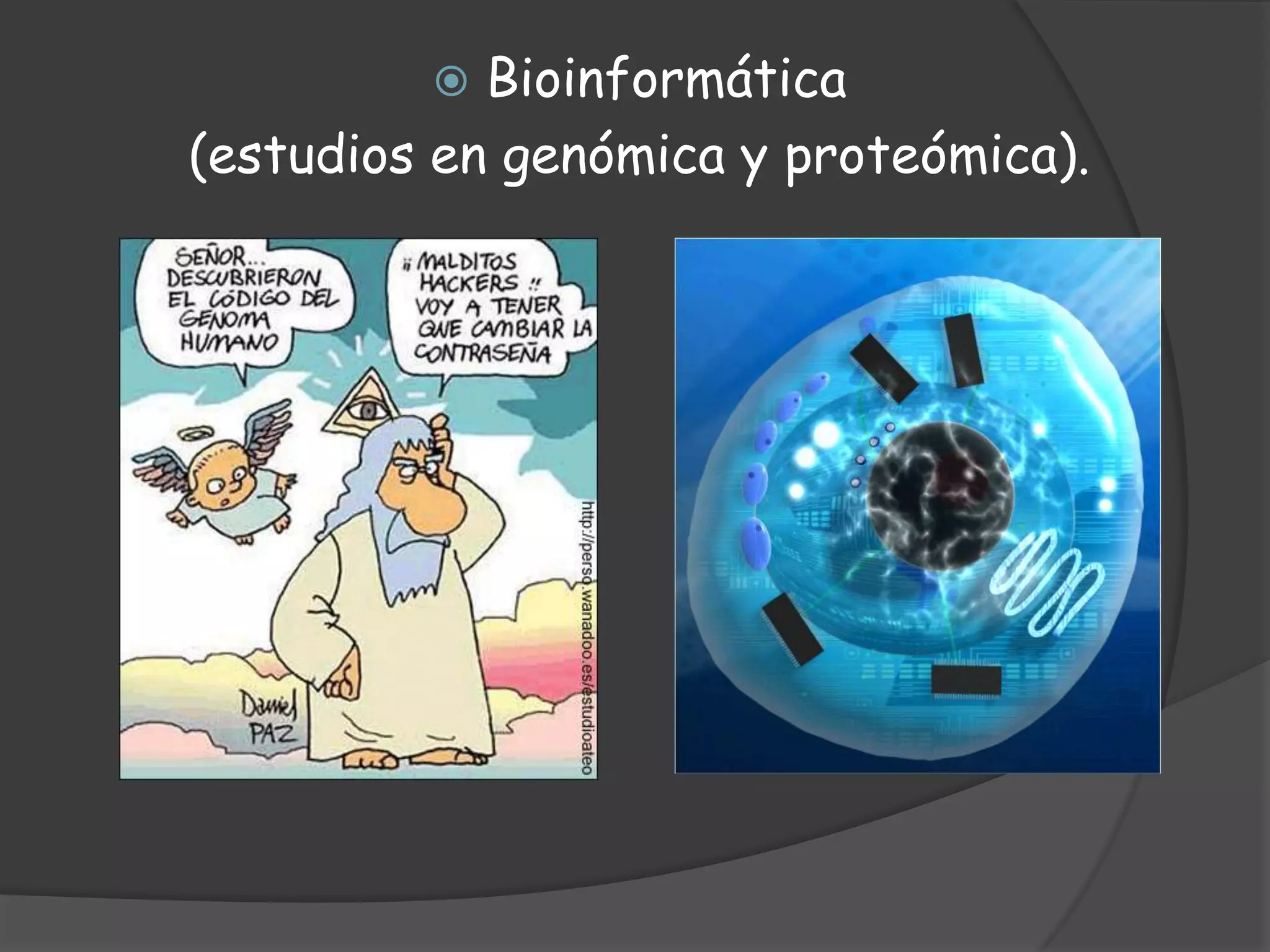 Bioinformática (estudios en genómica y proteómica).