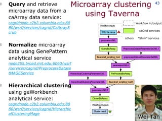 Microarray clustering  using Taverna Query  and retrieve microarray data from a caArray data service: cagridnode.c2b2.columbia.edu:8080/wsrf/services/cagrid/CaArrayScrub Normalize  microarray data using GenePattern analytical service  node255.broad.mit.edu:6060/wsrf/services/cagrid/PreprocessDatasetMAGEService Hierarchical clustering  using geWorkbench analytical service:  cagridnode.c2b2.columbia.edu:8080/wsrf/services/cagrid/HierarchicalClusteringMage Workflow in/output caGrid services “ Shim” services others Wei Tan 