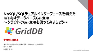 © 2023 Toshiba Digital Solutions Corporation
東芝デジタルソリューションズ株式会社 GridDBコミュニティ版担当
野々村 克彦
2023.3.10, 11
NoSQL/SQLデュアルインターフェースを備えた
IoT向けデータベースGridDB
～クラウドでGridDBを使ってみましょう～
 