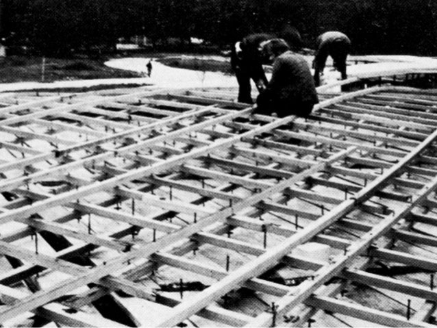 Mannheim gridshell picture