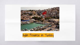 Aydın Province in Turkey
 