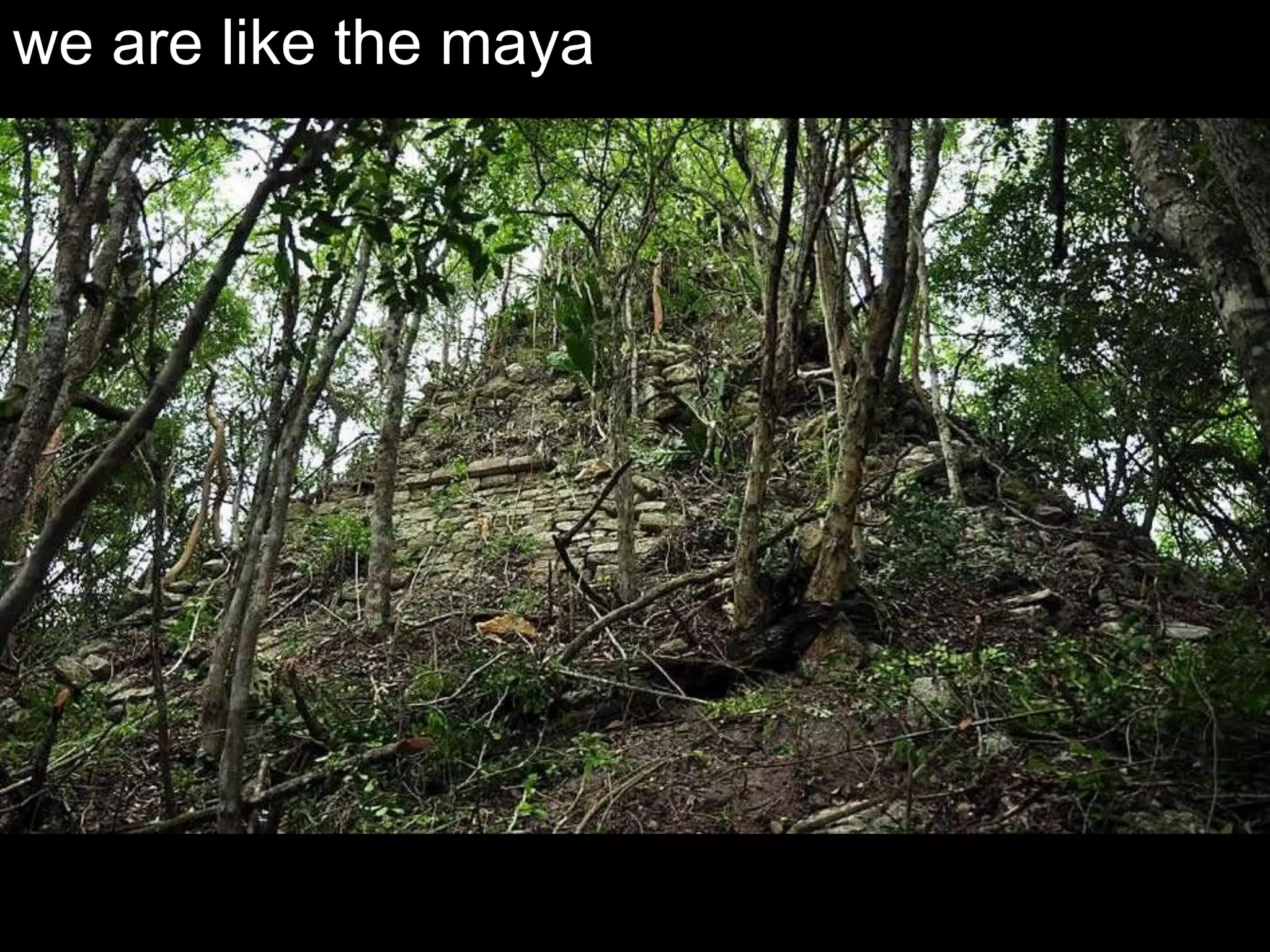 we are like the maya
 