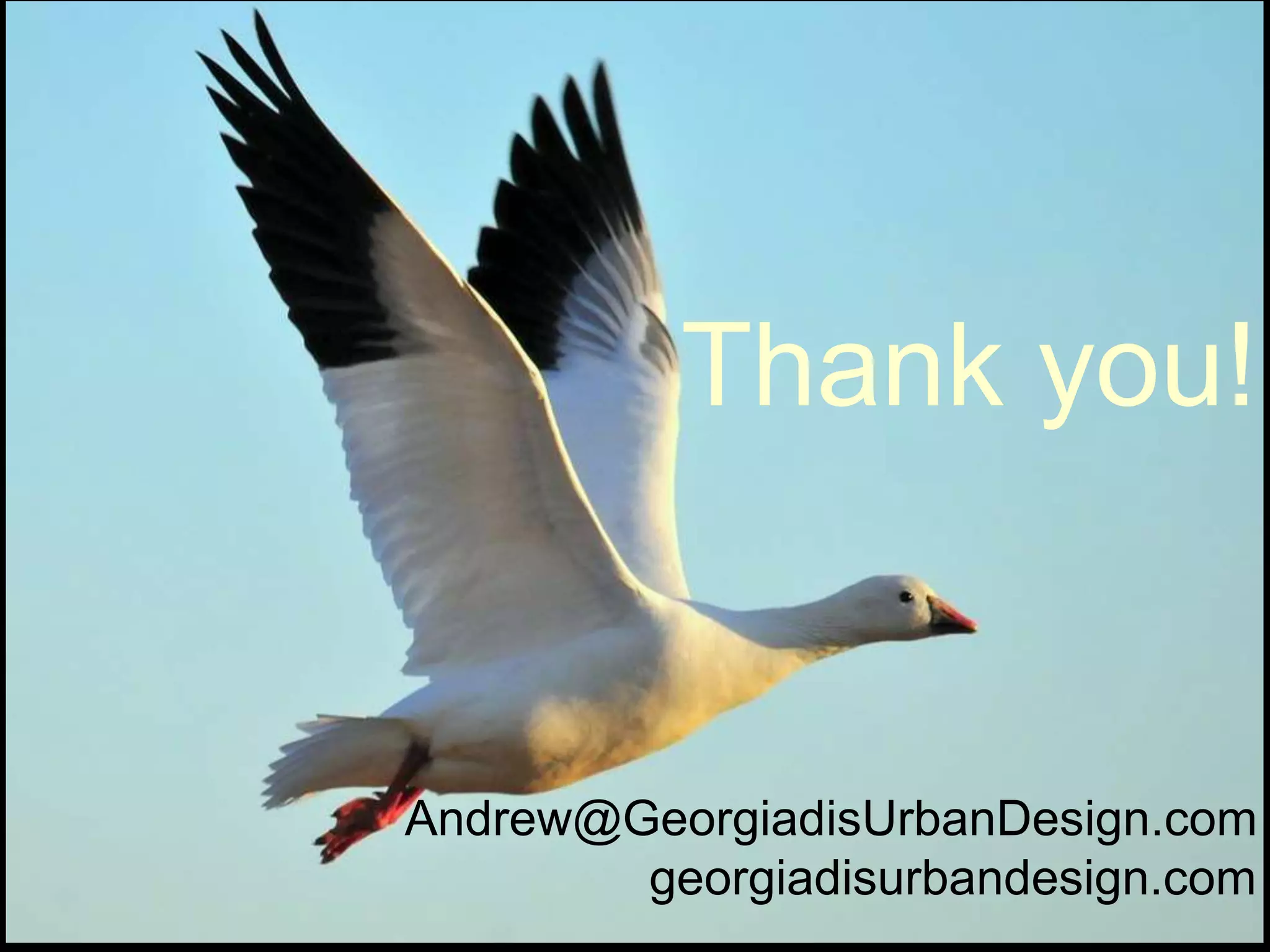 Thank you!
Andrew@GeorgiadisUrbanDesign.com
georgiadisurbandesign.com
 