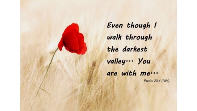 Bible Verses For Grief Condolence