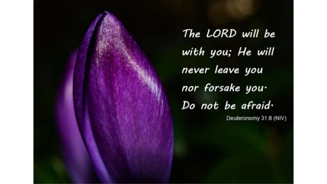Bible Verses For Grief Condolence