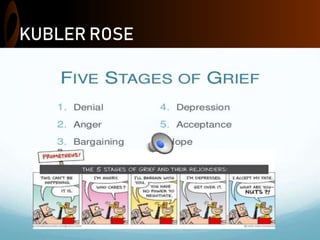 KUBLER ROSE
 