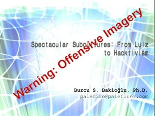 Burcu S. Bakioğlu, Ph.D.
palefire@palefirer.com
 