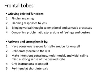 Frontal Lobes
• Grieving-related functions:
1. Finding meaning
2. Planning responses to loss
3. Bringing verbal thought to emotional and somatic processes
4. Controlling problematic expressions of feelings and desires
• Activate and strengthen it by:
1. Have conscious reasons for self-care; be for oneself
2. Deliberately exercise the will
3. Make intentions conscious, multi-modal, and vivid; call to
mind a strong sense of the desired state
4. Give instructions to oneself
5. Re-intend at short intervals
 