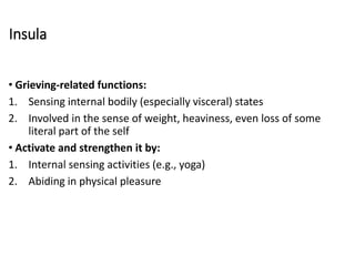 Insula
• Grieving-related functions:
1. Sensing internal bodily (especially visceral) states
2. Involved in the sense of weight, heaviness, even loss of some
literal part of the self
• Activate and strengthen it by:
1. Internal sensing activities (e.g., yoga)
2. Abiding in physical pleasure
 