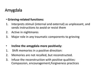 Amygdala
• Grieving-related functions:
1. Interprets stimuli (internal and external) as unpleasant, and
sends instructions to avoid or resist them
2. Active in nightmares
3. Major role in any traumatic components to grieving
• Incline the amygdala more positively:
1. Shift memories in a positive direction:
2. Memories are not recalled, but reconstructed.
3. Infuse the reconstruction with positive qualities:
Compassion, encouragement,Forgiveness practices
 