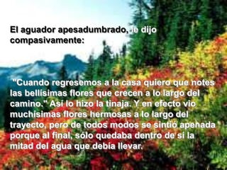 El aguador apesadumbrado,le dijo compasivamente: "Cuando regresemos a la casa quiero que notes las bellísimas flores que crecen a lo largo del camino." Así lo hizo la tinaja. Y en efecto vio muchísimas flores hermosas a lo largo del trayecto, pero de todos modos se sintió apenada porque al final, sólo quedaba dentro de sí la mitad del agua que debía llevar. 