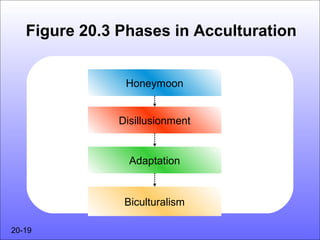 Figure 20.3 Phases in Acculturation


                Honeymoon


               Disillusionment


                 Adaptation


                Biculturalism

20-19
 
