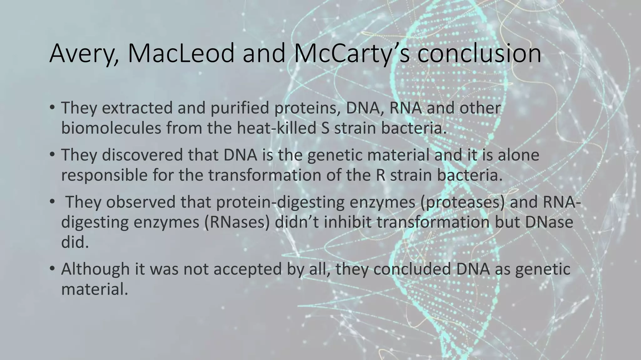 Avery, MacLeod and McCarty’s conclusion
• They extracted and purified proteins, DNA, RNA and other
biomolecules from the heat-killed S strain bacteria.
• They discovered that DNA is the genetic material and it is alone
responsible for the transformation of the R strain bacteria.
• They observed that protein-digesting enzymes (proteases) and RNA-
digesting enzymes (RNases) didn’t inhibit transformation but DNase
did.
• Although it was not accepted by all, they concluded DNA as genetic
material.
 