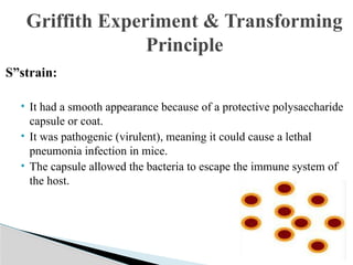 Griffith experiment transformation principle-molecular biology | PPTX