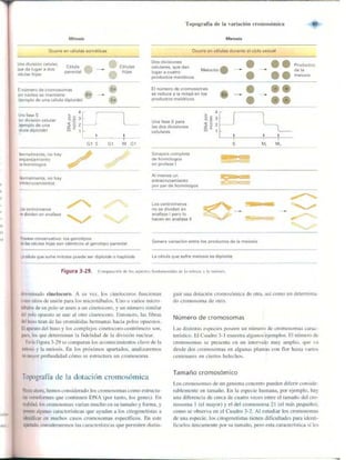 Griffiths anthony   genetica (7ed)
