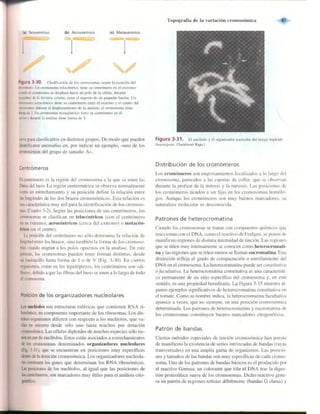 Griffiths anthony   genetica (7ed)