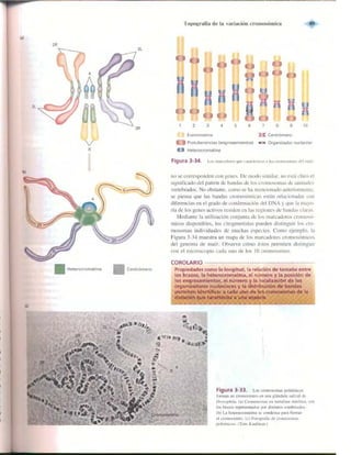 Griffiths anthony   genetica (7ed)