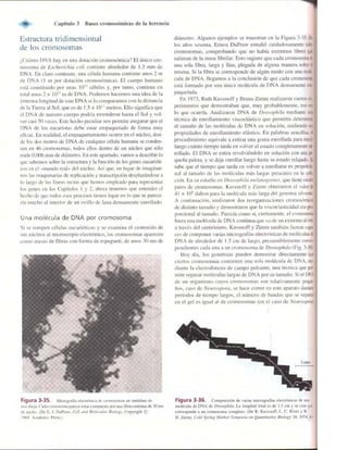 Griffiths anthony   genetica (7ed)