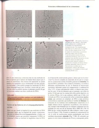 Griffiths anthony   genetica (7ed)