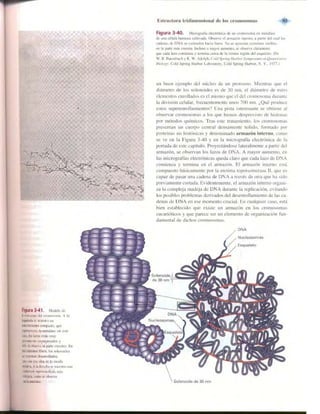 Griffiths anthony   genetica (7ed)