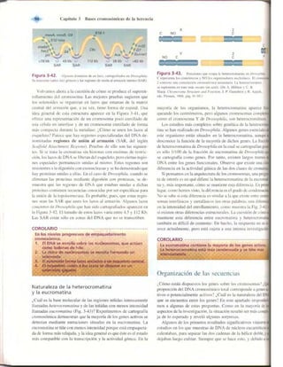 Griffiths anthony   genetica (7ed)