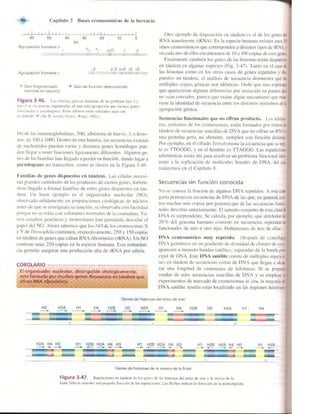 Griffiths anthony   genetica (7ed)