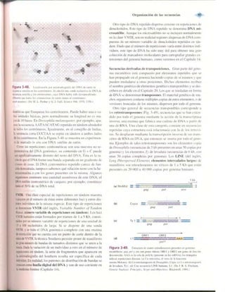 Griffiths anthony   genetica (7ed)