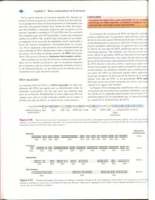 Griffiths anthony   genetica (7ed)