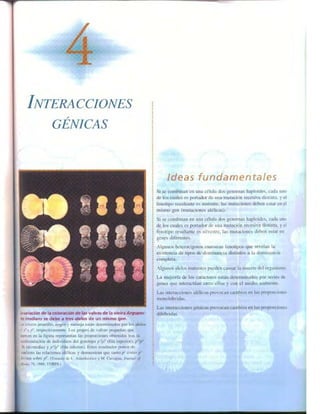 Griffiths anthony   genetica (7ed)