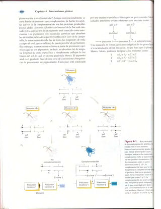Griffiths anthony   genetica (7ed)