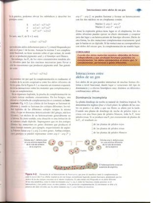 Griffiths anthony   genetica (7ed)