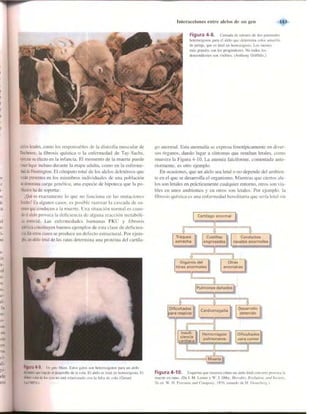 Griffiths anthony   genetica (7ed)