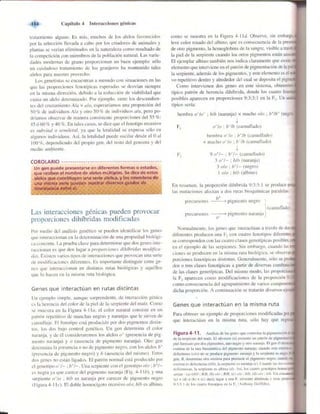 Griffiths anthony   genetica (7ed)