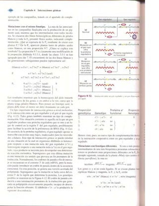 Griffiths anthony   genetica (7ed)