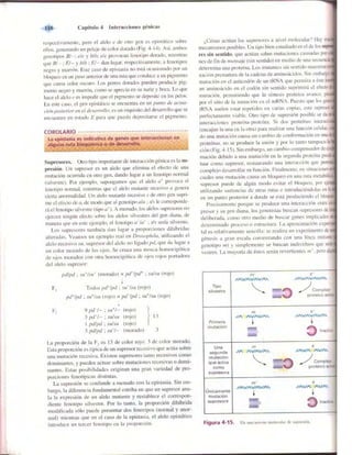 Griffiths anthony   genetica (7ed)