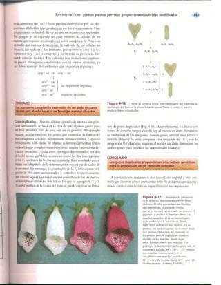 Griffiths anthony   genetica (7ed)