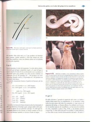 Griffiths anthony   genetica (7ed)