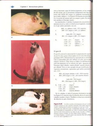 Griffiths anthony   genetica (7ed)