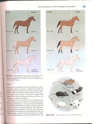 Griffiths anthony   genetica (7ed)