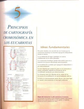 Griffiths anthony   genetica (7ed)