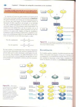Griffiths anthony   genetica (7ed)