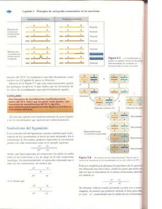 Griffiths anthony   genetica (7ed)