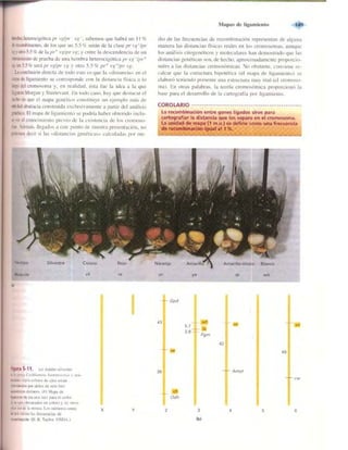 Griffiths anthony   genetica (7ed)