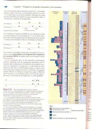 Griffiths anthony   genetica (7ed)