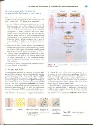 Griffiths anthony   genetica (7ed)